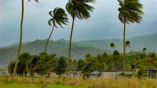Watch These Live Webcam Views of Jamaica as Hurricane Melissa Makes Landfall