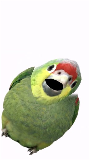 the crack sound effect