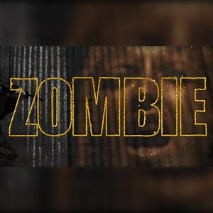 We’re delighted to share with you the new official lyric video for Zombie released today! The video combines the original with footage from our homecoming show at Theatre Royal, Limerick in December 1993 after we had toured America as well as footage from our show in Paris 1999. Hope you enjoy it! https://thecranberries.lnk.to/ZombieLyricVideoFP | The Cranberries