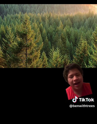 Discover the Resilience of the Taiga Biome