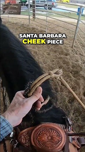 Mastering Horse Bit Mechanics: The Santa Barbara Cheek Piece
