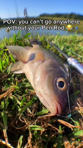 GET YOURS, LlNK lN PROFlLE 🎣👉. #fishing #fishinggear #bassfishing #fishingrod #hunting #real