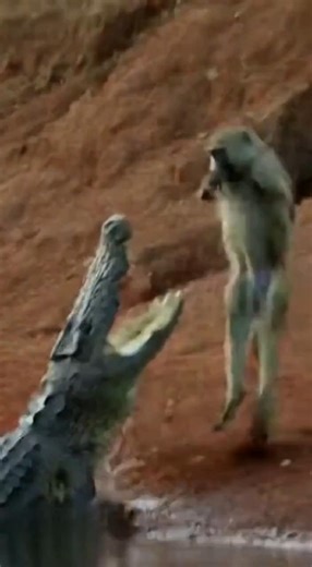 The Most Insane Escape You’ll See Today!