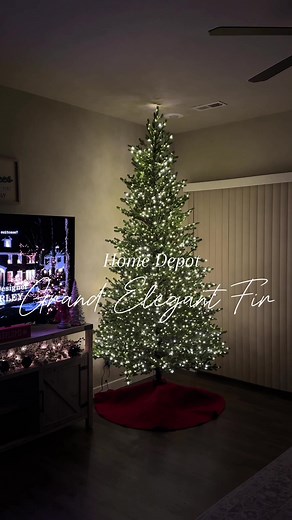 Setting up Elegant Grand Fir Christmas Tree from Home Depot