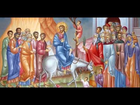 ΤΩΝ ΒΑΙΩΝ . ΜΗΤΡΟΠΟΛΙΤΗΣ ΛΕΜΕΣΟΥ ΑΘΑΝΑΣΙΟΣ.