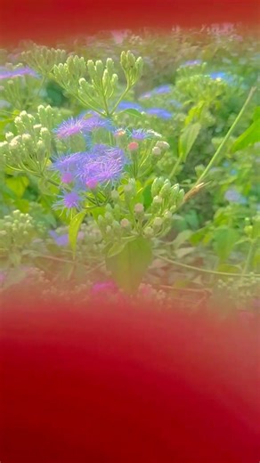 eyes 👁 view tutorial 🔁✨🍂#loop #shorts #tutorials #viralvideo#foryou #viral #trend