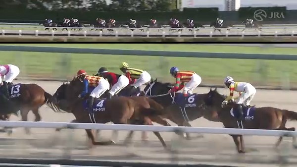 The Champions Cup (JPN G-1, formerly the Japan Cup Dirt until 2013) is a thoroughbred horse race contested in Japan in early December. It is run for three-year-olds and older at a distance of 1,800 meters. In recent years, the race has followed the Japan Cup on the Japanese racing calendar. Lemon Pop (Japan name: レモンポップ, February 15, 2018) Lemon Pop dominated the Champions Cup from start to finish, becoming only the fourth horse in history to win both the G1 February Stakes and the Champions Cup