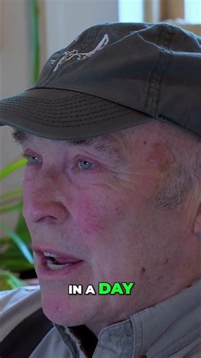 Moose Calling | Windows to the Wild Season 20