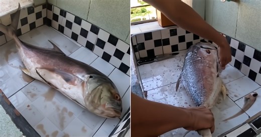 The shocking reality of buying fish in Cuba: the price paid for 10 pounds leaves everyone in disbelief