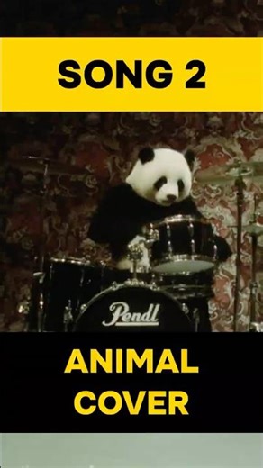 Song 2. Cover by animals! 🦊🐱🐧🐼 #blur #song2 #funnyanimals #fyp #tiktok #coversong #aivideo #ai
