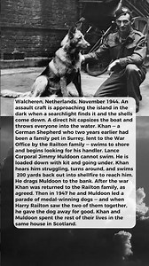 1 DOG SWAM BACK 200 YARDS THROUGH SHELLFIRE TO DRAG HIS DROWNING HANDLER OUT OF THE SEA.