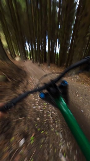31K views · 275 reactions | Ripping through the forest at lightning speed @thebigbad_wolfe and his brother @a_dunne1 tackled this wild trail in Ireland with their #GoProHERO12 ‍♂️ #GoProUK #GoPro #GoProFamily #MTB #Ireland | GoPro | Facebook