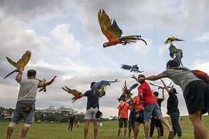 Birds of a feather flock together for Singapore’s macaw-loving community