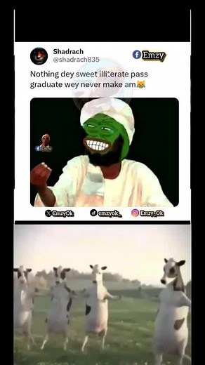 I swear 🤣🤣🤣🤣 no let ebuka see this video ooh 😱😂😂#funny #justjokes #memes #trending #wonders