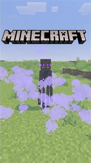 Minecraft But I Am A Enderman 🥺