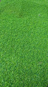 16K views · 166 reactions | The best Chisel with amazing wooden handle #diy #chisel #shorts | Axell darbuka | Facebook