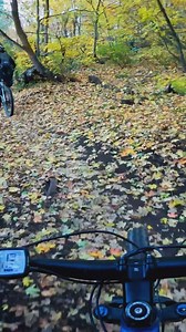 2.5K views · 12 reactions | POV: You are having WAY TOO MUCH FUN on Ogden trails this Fall. Come out and ride some of the best spots in N. Utah! | Visit Ogden | Facebook