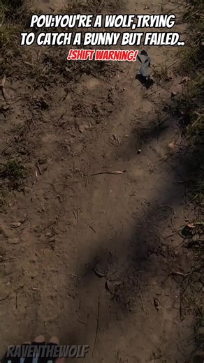 Understanding Therian Culture and Identity