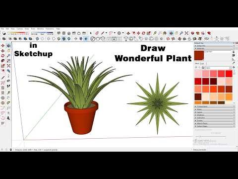 draw plant 3 in sketchup