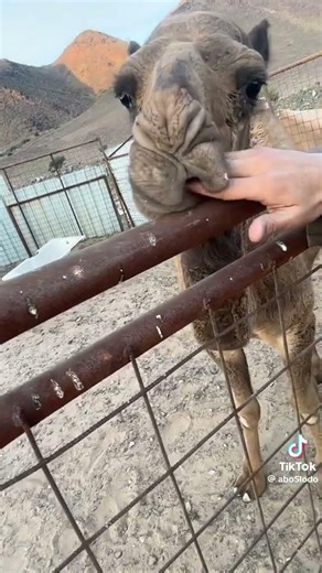 ٩ أبريل ٢٠٢٦