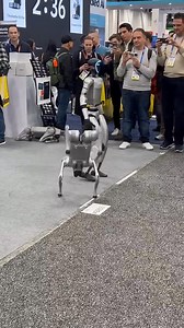 Can your robot Dog do this?  Check before you buy ☺️ | Reviews | Facebook