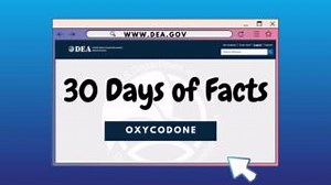 Oxycodone is a semi-synthetic narcotic synthesized from thebaine, a constituent of the poppy plant. Oxycodone products are Schedule II narcotics under the Controlled Substances Act. #DEADrugFacts https://www.campusdrugprevention.gov/sites/default/files/2022-11/Oxycodone 2022 Drug Fact Sheet_1.pdf | Drug Enforcement Administration - DEA