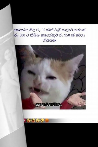 බුකියේ රස කතා අද 😂 | HC Fun Memes 🤣 #sinhala #shorts #memes Episode 2366 #athalmemes #shorts