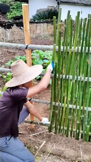 Bamboo fence DIY tutorial, easy - to - learn rural skills