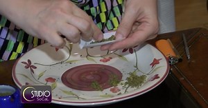 Studio SoCal:Medical Marijuana, Epilepsy, and the Search for Treatments Season 1 Episode 26