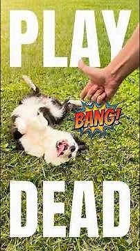 How to Train Your Dog to Play Dead