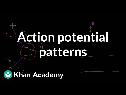 Action potential patterns | Nervous system physiology | NCLEX-RN | Khan Academy