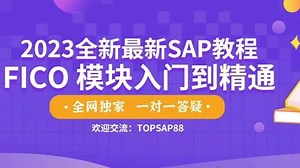 SAP FICO模块从入门到精通