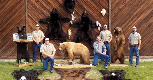 Montana’s most brazen poachers: Cases that stunned game wardens and courts