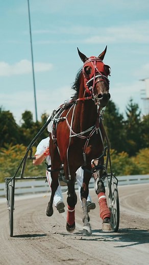 Slowmo Horse Pacer in Harness Racing with Sony A7S III