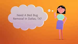 OCP Bed Bug Removal in Dallas, TX | 469-754-8297