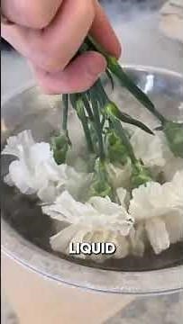 Romantic Liquid Nitrogen Flower Trick