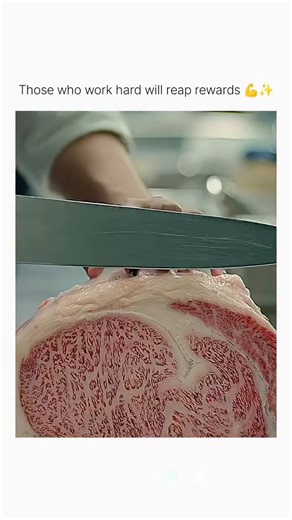 meme l movies l clips | 💥 Title: Hunger (2023) 🎬 Genre: Drama | Culinary | Social Commentary ⏱️ Runtime: 145 minutes (~2h 25m) ⭐ Reception: Mostly positive reviews... | Instagram