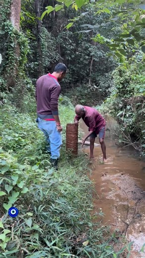 Malthesh Janagal 🧿 on Instagram: "ಎಳ್ಳಾಮಸ್ಯೆ PART-2 ,ಏಡಿ ಸಿಕ್ಕುದ್ವ. ?🧿🧿🧿 #maltheshjanagal #karnataka #thirthahalli #shivamogga #rainforest"