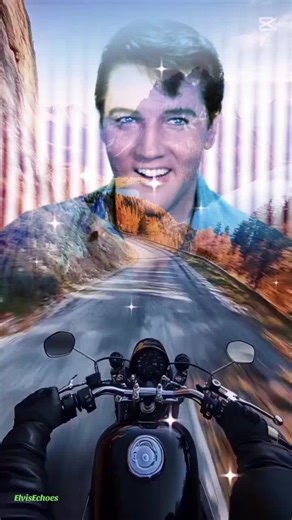 "I'm a roustabout" - Roustabout 1964 #elvis #elvismovie #elvispresley... TikTok