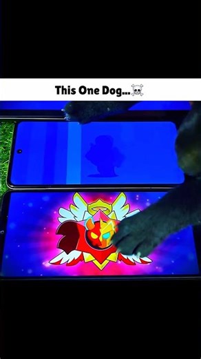 Dog Opening Starr Drop gone Wrong…☠️🔥 #shorts #brawlstars #voiceacting