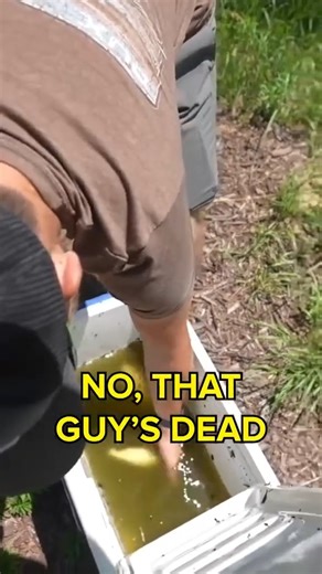 bait fish got munched! #fishing | Andrew Flair