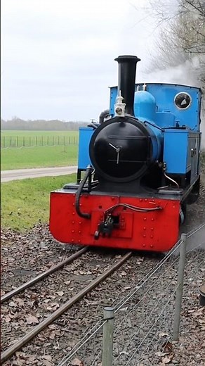 British Narrow Gauge Steam Trains