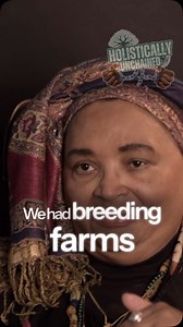 55K views · 23K reactions | American Breeding Farms #africanamerican #african #history #blackhistory #black #revolution | Holistically Unchained | Facebook