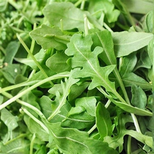 1000 Roquette Arugula Seeds | Rocket Slow Bolt Variety | Non GMO Heirloom Garden Greens - Etsy