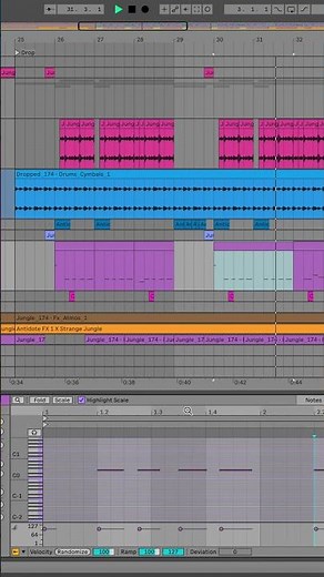JUNGLE in ableton!
