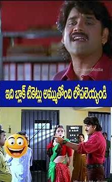 Nagarjuna Tabu Non Stop Comedy Scene | Brahmanandam | ఇది బ్లాక్ టికెట్లు అమ్ముతోంది లోపలెయ్యండి
