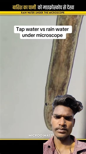 tap water Vs rain 🌧️ water Under The Microscope 😱 || #shorts #viralvideo #youtubeshorts #microscope