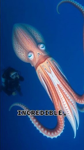 Unveiling the Giant Squid: Ocean's Elusive Giant