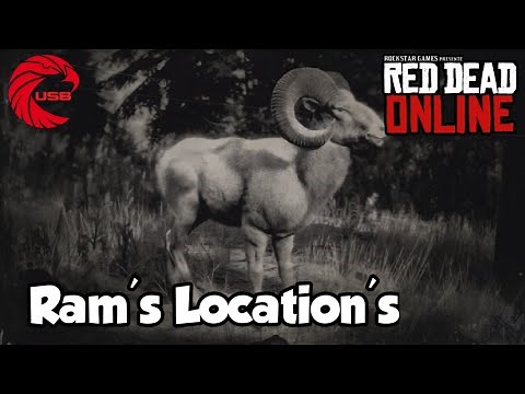 Rams Locations RDR2 Online - Red Dead Online Rams Location Guide