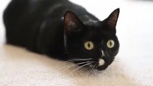 You because you're still awake | Redbook Magazine